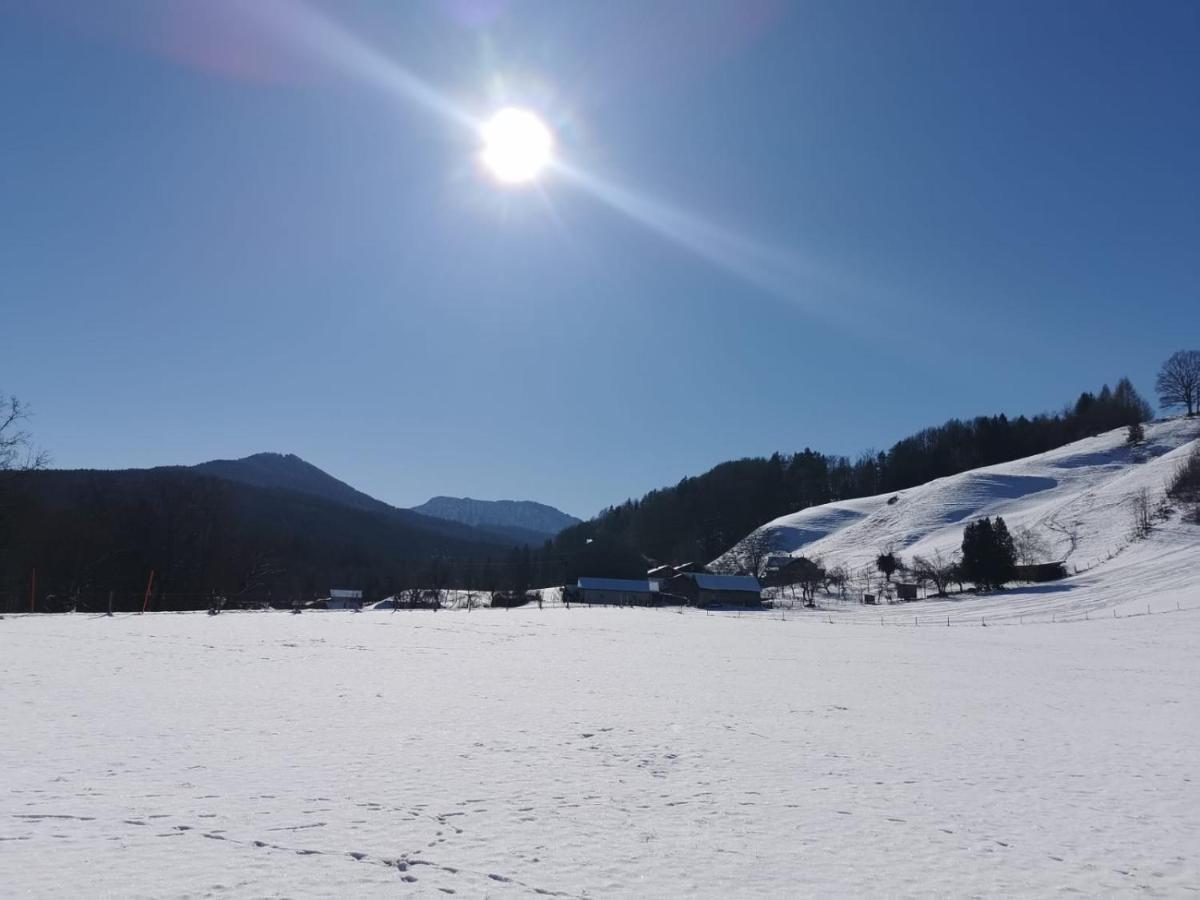 Pension Ober Siegsdorf Exteriör bild