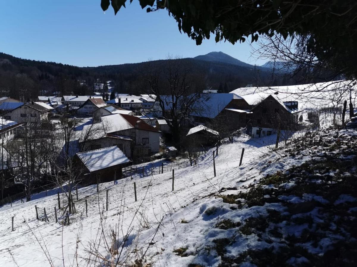 Pension Ober Siegsdorf Exteriör bild